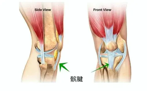 如何分散髌腱张力？这些方法有效